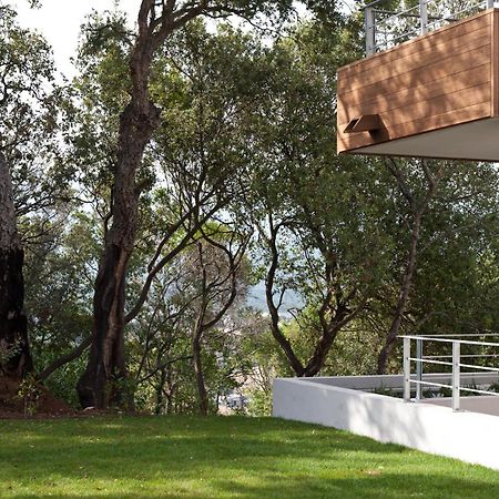 Residence Hoteliere Alcyon Porto-Vecchio  Dış mekan fotoğraf